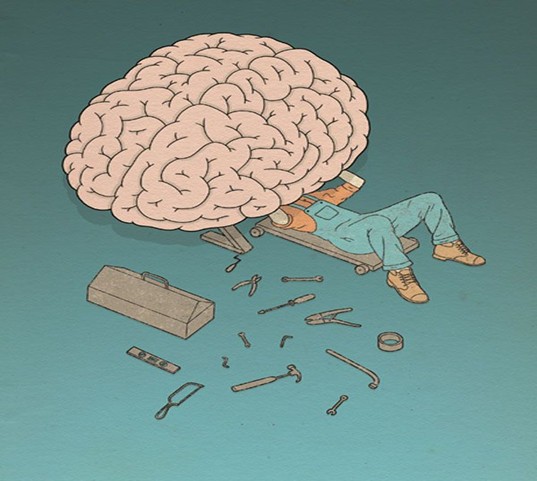Brain.jpg