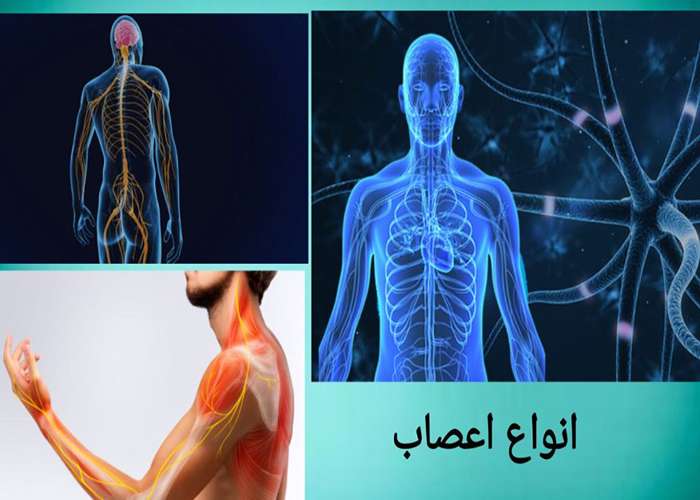 The-difference-between-muscle-joint-and-nerve-pain-main.jpg