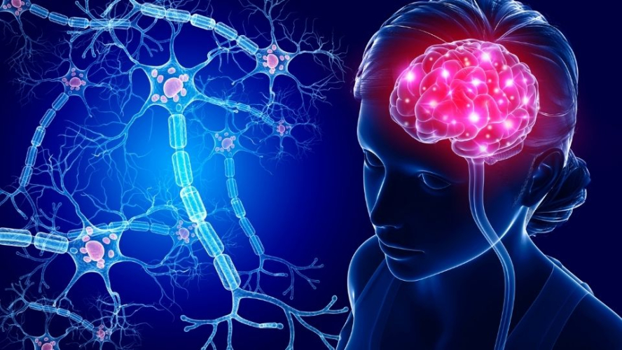 a-healthy-brain.jpg